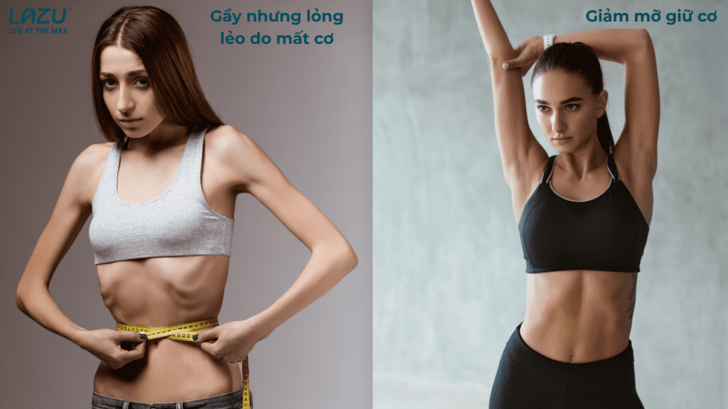 giảm mỡ giữ cơ